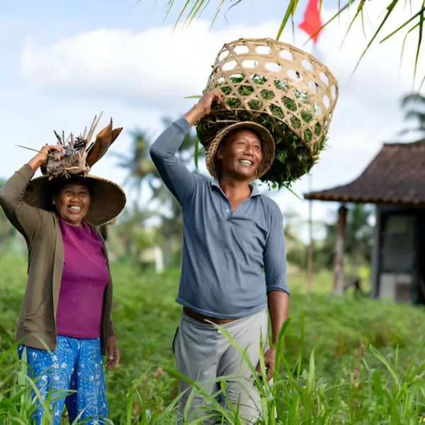 Petani Indo Petani Indo