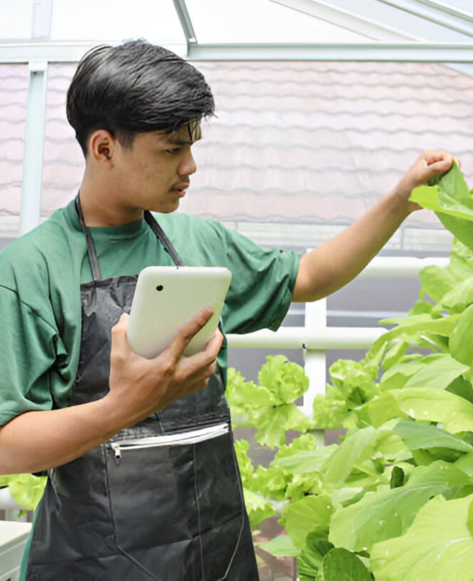 testimonial man farm indo testimonial man farm indo